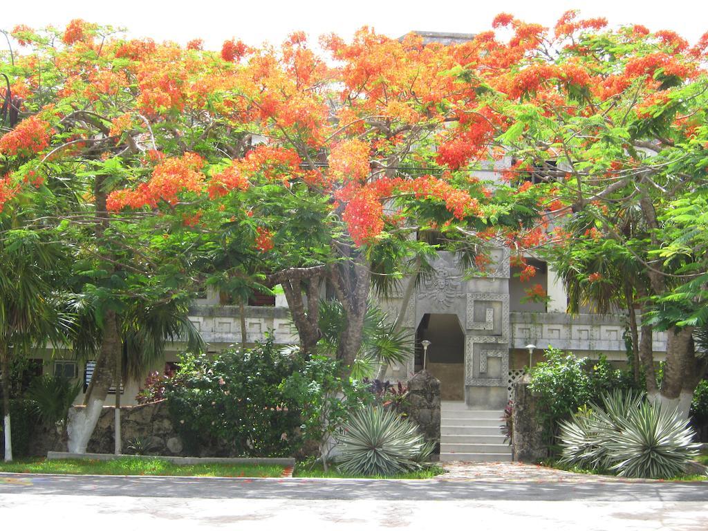 Ferienwohnung Condumel Cozumel Zimmer foto